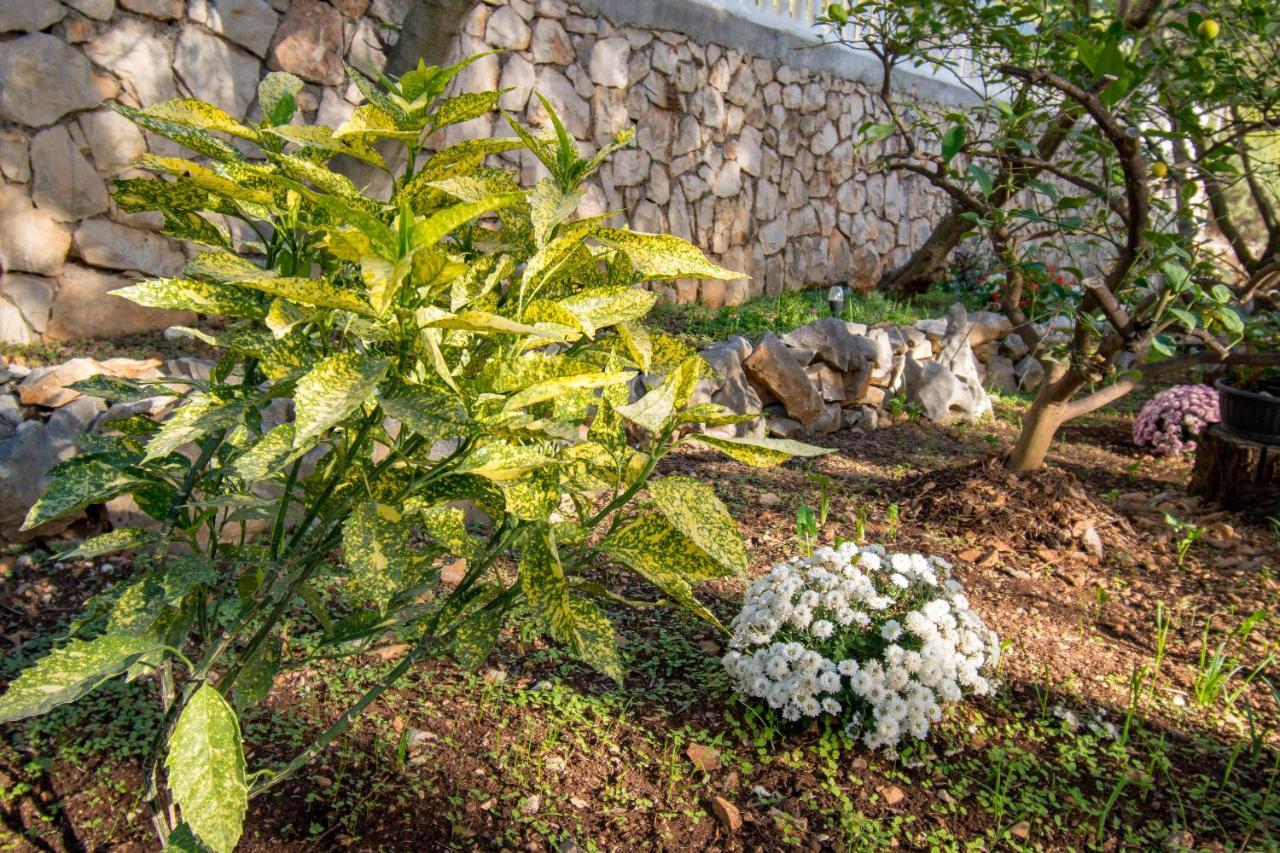 Villa Mira โตรกีร์ ภายนอก รูปภาพ